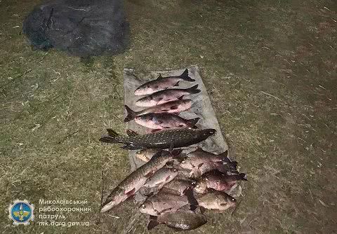 В Себино рыбоохранный патруль задержал обнаружил нарушителей