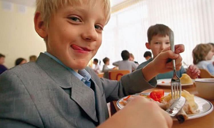 Очаковский горсовет отдал сразу 4 тендера на покупку еды в учебные заведения города николаевской фирме