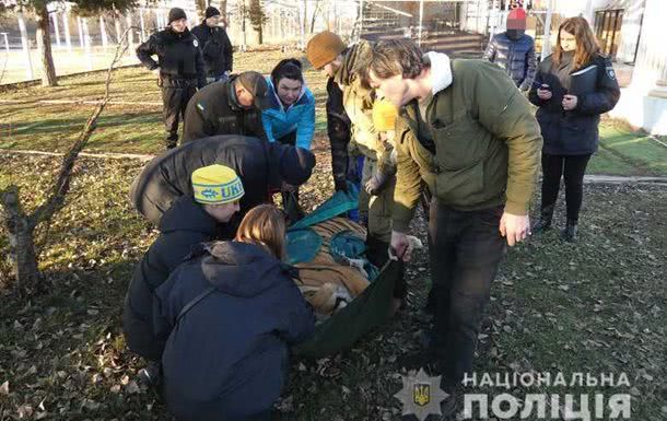 В Киеве полиция изъяла шесть живых тигров