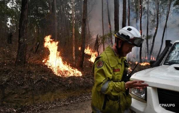На восстановление природы Австралии после пожаров власти выделят $50 млн
