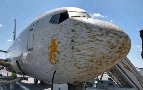 Гигантская туча саранчи напала на самолет в Эфиопии: пришлось отменить посадку