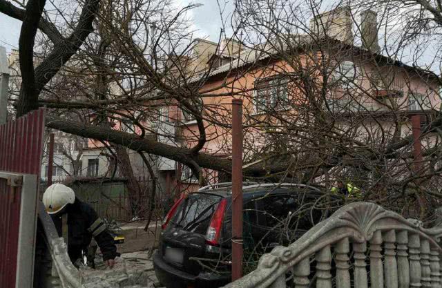 Поваленные деревья, сорванные кровли, поврежденные мосты и обесточенные населенные пункты - в Николаевской ОГА подсчитали ущерб от урагана