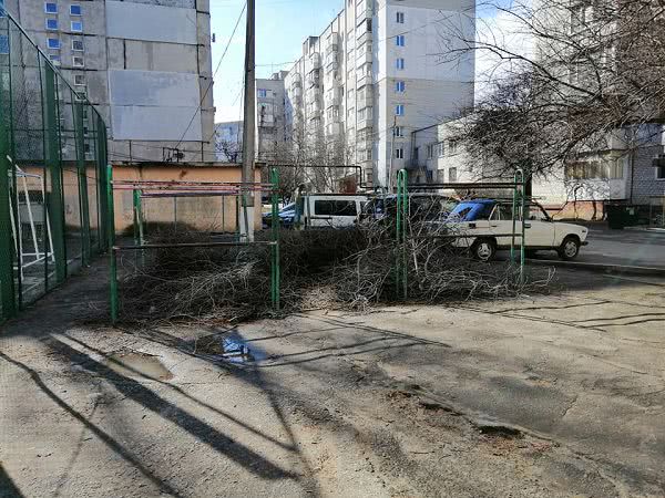 В Николаеве ветви деревьев занимают часть детской площадки — фото