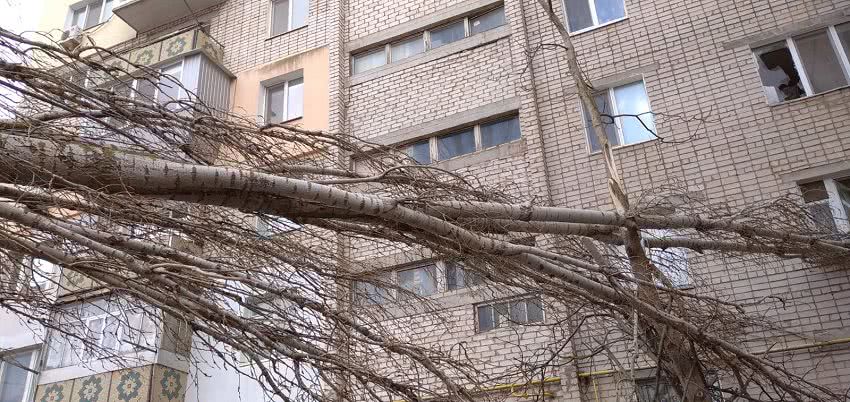 В Николаеве упавший тополь повредил балкон многоэтажного дома