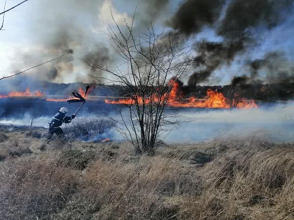 На Миколаївщині лютували пожежі очерету та сухостою — підпали