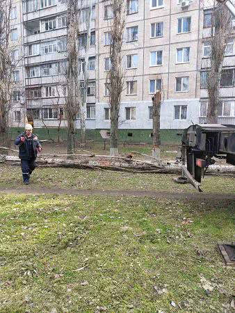 На территории Заводского района Николаева занялись ликвидацией аварийных деревьев