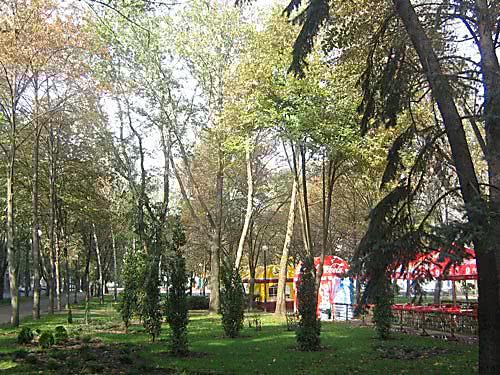 В Николаеве занимаются масштабным озеленением парковых зон