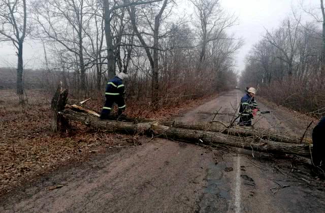 На Николаевщине штормовой ветер валит деревья - помощь в их уборке оказывают спасатели