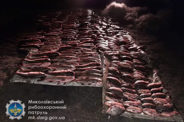 Николаевский рыбоохранный патруль задержал на Южном Буге браконьера с 184 кг рыбы