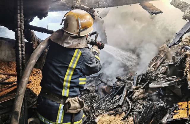 В Николаеве спасатели потушили возгорание хозпостройки и спасли от огня жилой дом