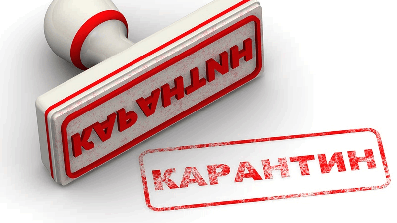 Штрафы за нарушение карантина