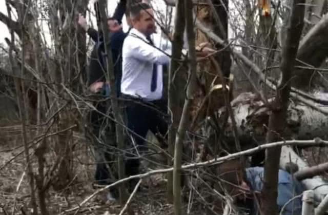 Губернатор Александр Стадник помог женщине, на которую упало дерево