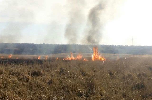 В Николаевской области за прошедшие сутки выгорело более 18 га сухостоя и камыша