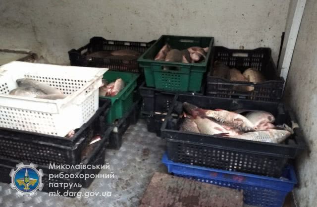 На рынках Николаева и Вознесенска продавали 136 кг рыбы без документов, подтверждающих законность ее происхождения