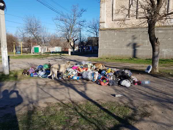 В микрорайоне Николаева коммунальное предприятие забрало контейнеры для мусора, а содержимое разлетается по улицам и дворам жителей — фото