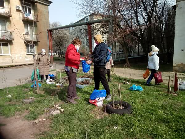 В микрорайоне Николаева горожане высадили 500 деревьев, кустов и цветов — фото