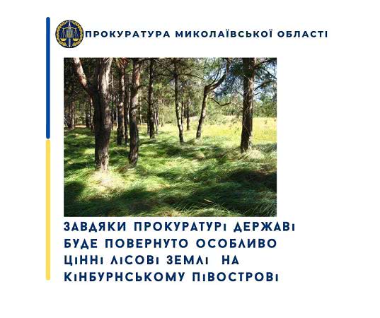 На Миколаївщині завдяки прокуратурі державі буде повернуто особливо цінні лісові землі на Кінбурнському півострові