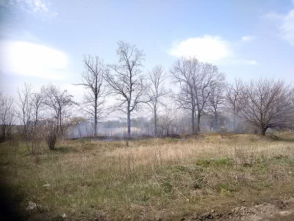 На Николаевщине выгорело 7 га земли за сутки