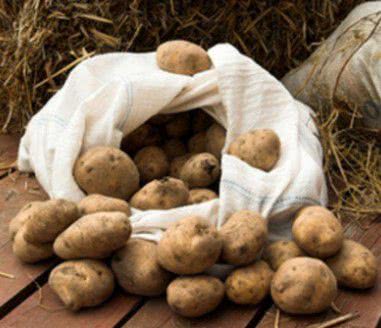 На Николаевщине из-за некачественного картофеля произошел конфликт на оптовом рынке — видео
