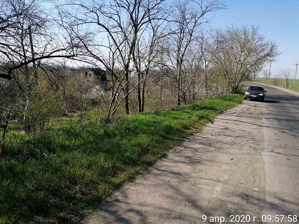 От пакетов и мусора убрали лесополосу по дороге Николаев-Очаков вдоль дачных кооперативов