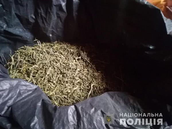 В райцентре на Николаевщине 31-летний местный житель вырастил наркотики: заготовил коноплю и канабис