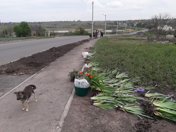 В селе на Николаевщине местные жители высадили цветы на клумбе