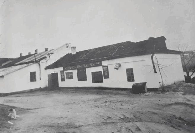 Швейна фабрика. 1946 рік