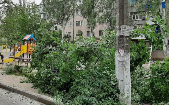 В Николаеве три дерева рухнули на детскую площадку