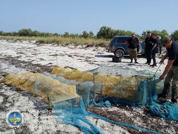 В Очаківському районі на Миколаївщині два правоохоронця добули 83 000 екземплярів креветки — фото