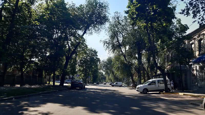 Огромные ветки деревьев свисают над проезжей частью николаевских улиц