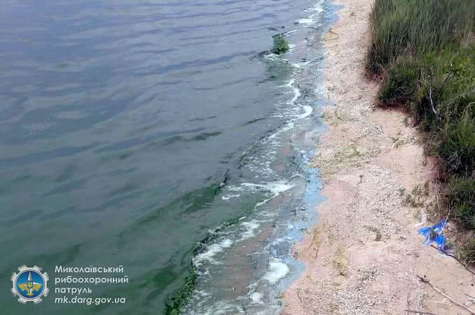 Возле Николаева вода лимана имеет неприятный запах и зелёно-синий цвет — видео