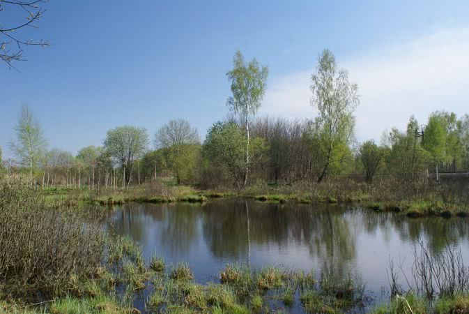 На Николаевщине частное предприятие незаконно использовало водоем