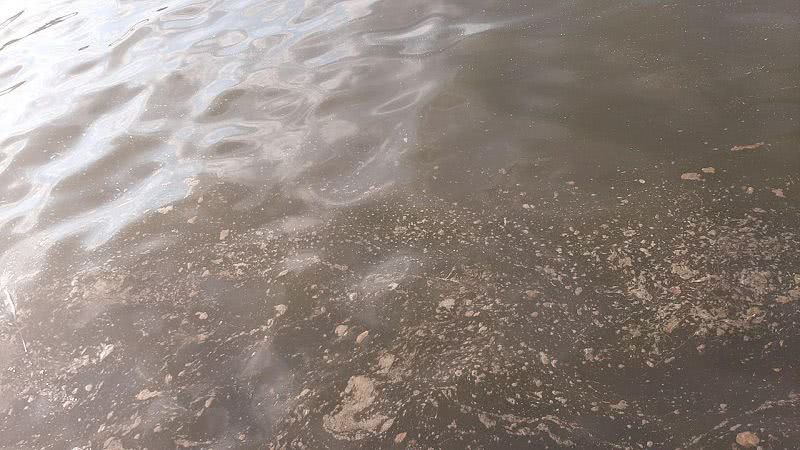 В Николаеве в реке Ингул купаться нельзя, вода загрязнена — фото