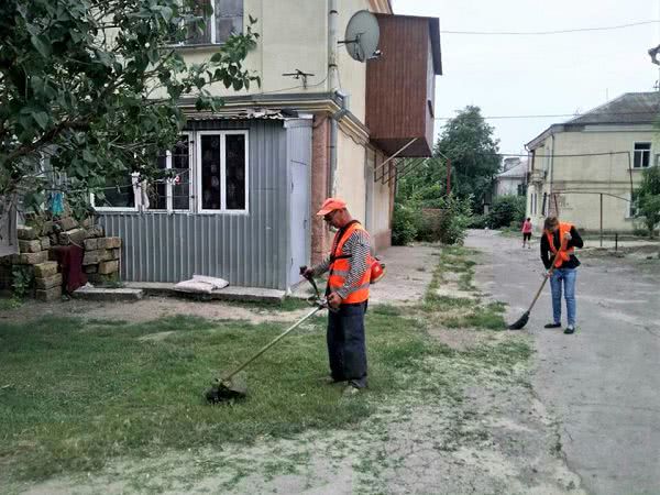 «Город для людей Николаев» проводит комплексную уборку придомовых территорий, скос травы, дератизацию и дезинсекцию