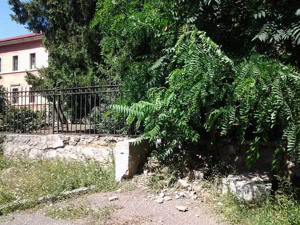 В Николаеве забор ДОФа разрушают растения