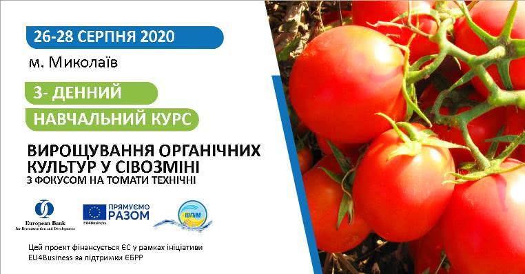 Выращивать помидоры в севообороте с фокусом на томаты технические научат в Николаеве