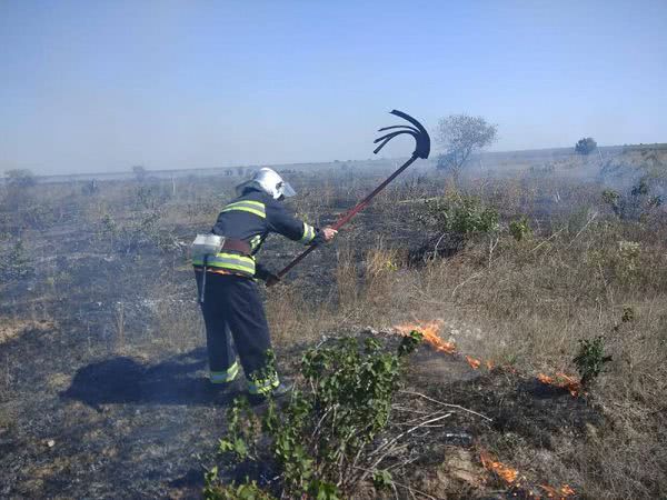 Миколаївщина у вогні: 13 пожеж за добу і підпал лісу
