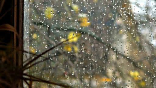 В пятницу, 13-го, в городе Николаеве будет дождливо и пасмурно
