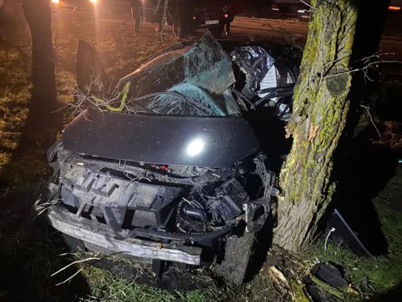 В потемках легковой автомобиль в Николаевской области врезался в дерево