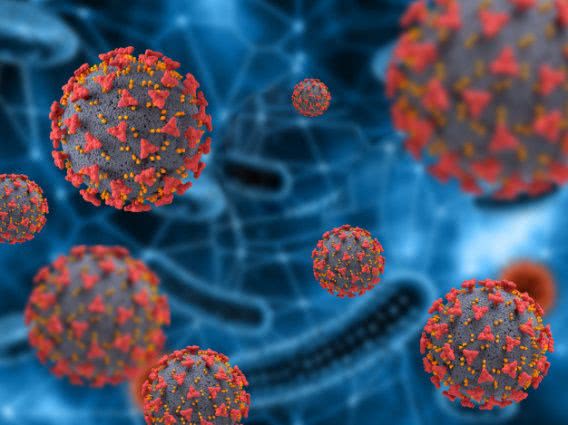 В ВОЗ установили, когда именно появился коронавирус, вызвавший пандемию