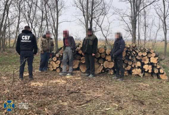 Идут обыски в домах начальства Вознесенского лесхоза