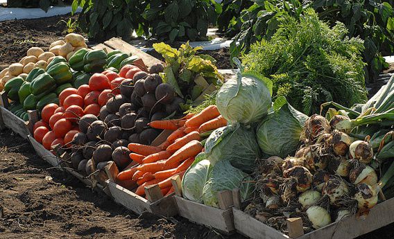 Цены на ранние овощи на рынках Николаевской области останутся высокими до лета, - эксперт