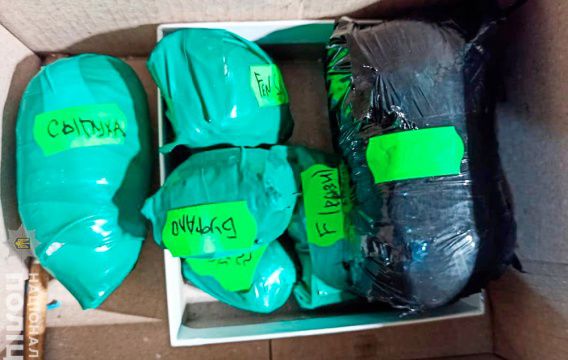 Дома у николаевской закладчицы нашли наркотиков на 150 тысяч гривен (фото, видео)