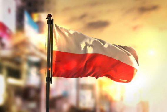 Польша хочет облегчить трудоустройство украинцев