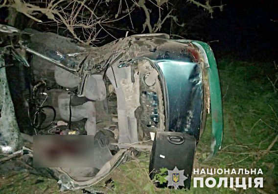 Смертельная авария на трассе М-14: Hyundai расплющило от удара об дерево