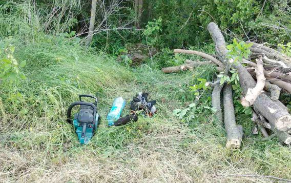 Браконьером, который вырубал лесополосы вдоль дорог Вознесенского района, займется полиция