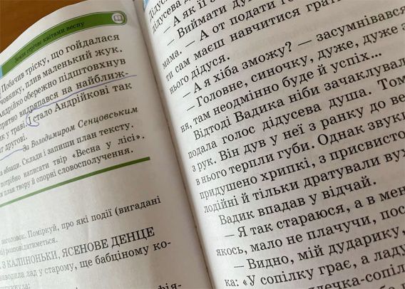Членкиня остается: апелляционный суд вернул новую редакцию украинского правописания