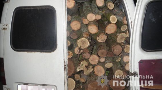 На Николаевщине машину с древесиной задержали по звонку неравнодушного гражданина