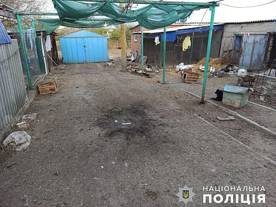 Ночью на подворье села в Николаевской области взорвалась противопехотная граната
