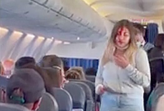 В самолете Анталия-Запорожье подрались женщины: пассажирка с малышом на руках разбила другой голову